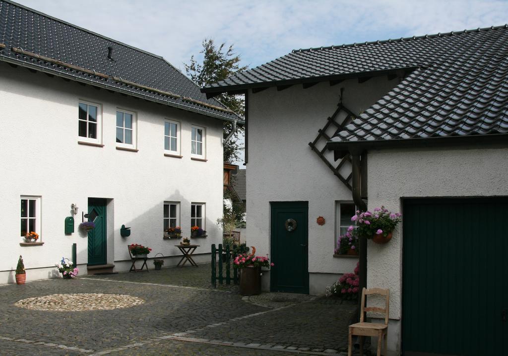 Ginsterblüte Ferienhaus Schleiden